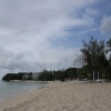 Paynes Bay Beach