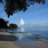 Paynes Bay Beach