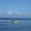 Kayaking Dog