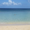 Paynes Bay Beach