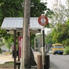 Bus Stop