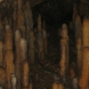 Harrison's Cave